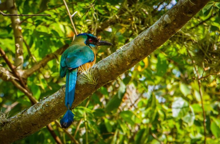 Belize May activities