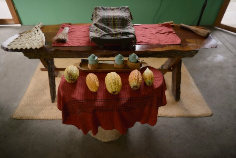 Ajaw Chocolate & Green Iguana Conservation Project