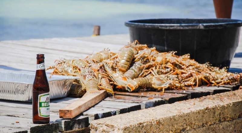 Caribbean lobster fest