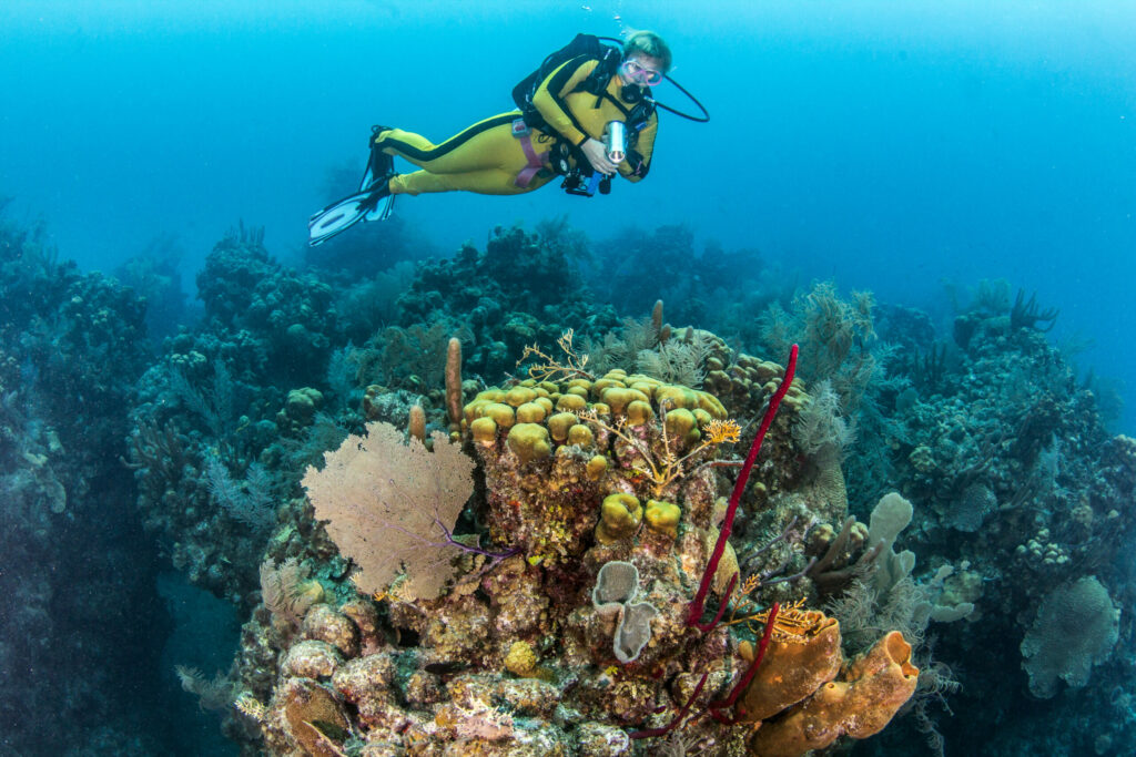 14 Ways to Experience Belize