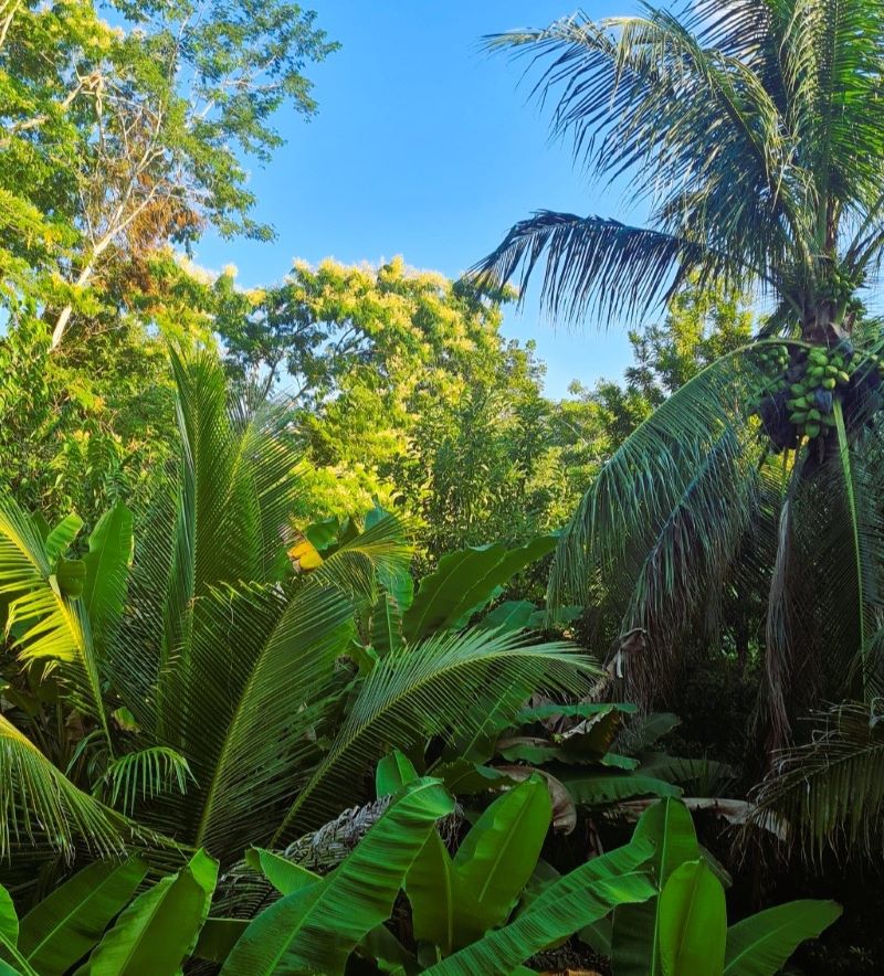 Belize eco-tourism