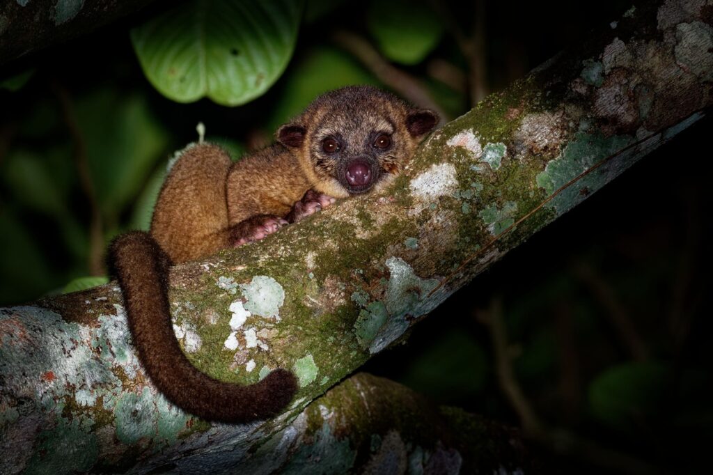Visit Belize this Fall