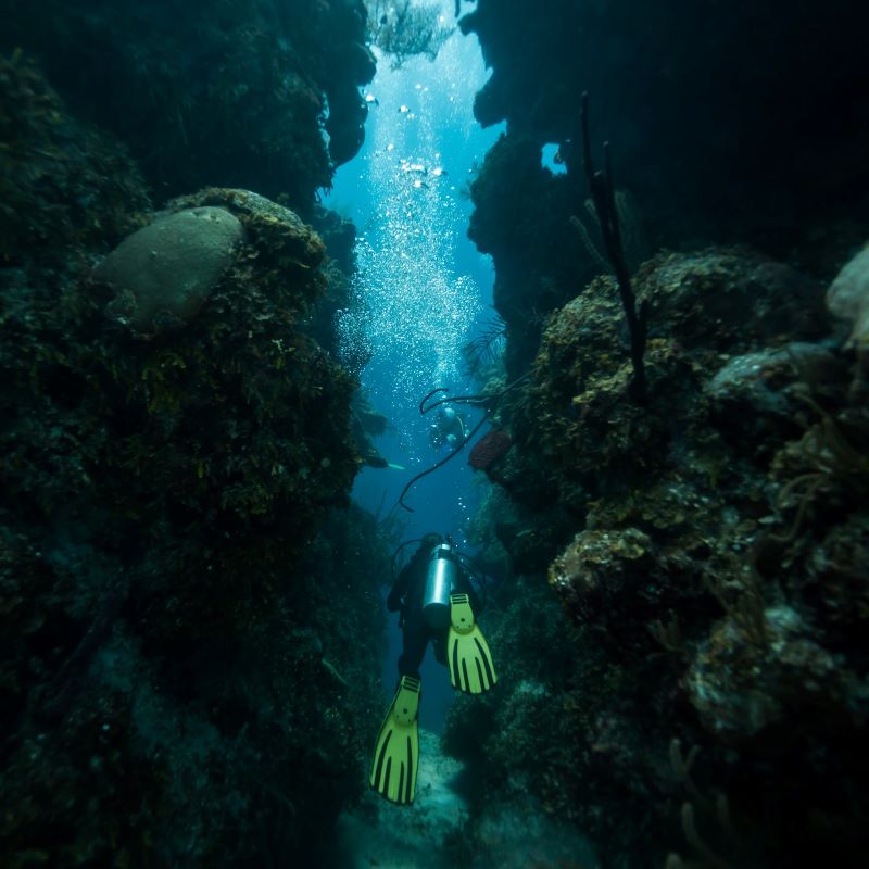 Belize Barrier Reef vacation