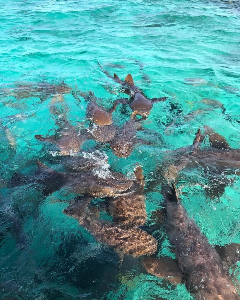Belize winter getaway
