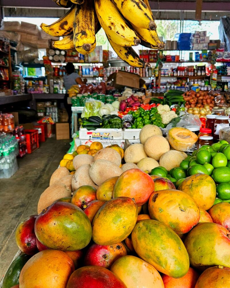 San Ignacio Belize summer travel