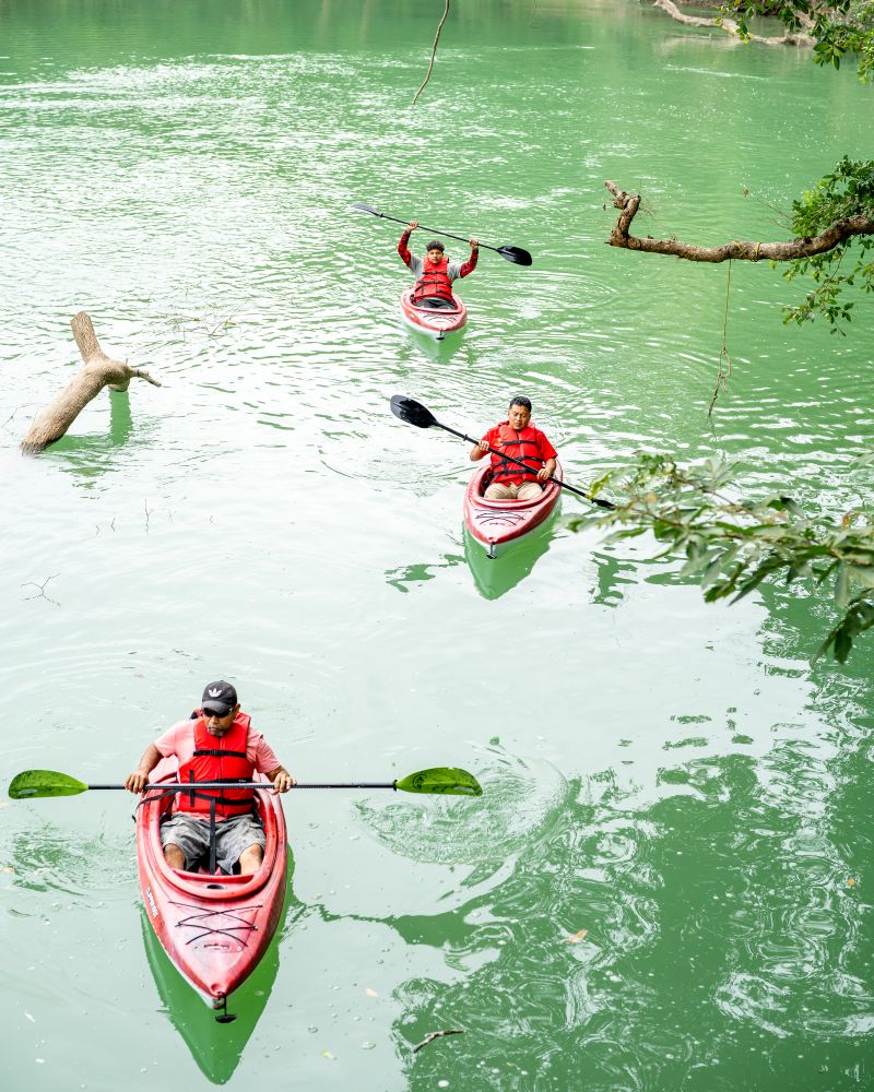  Belize jungle Spring Break
