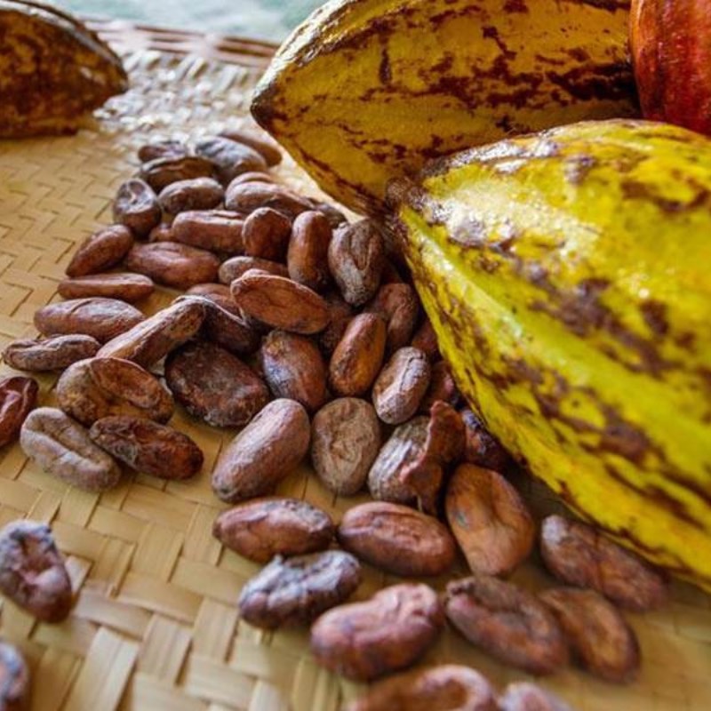 Belize chocolate