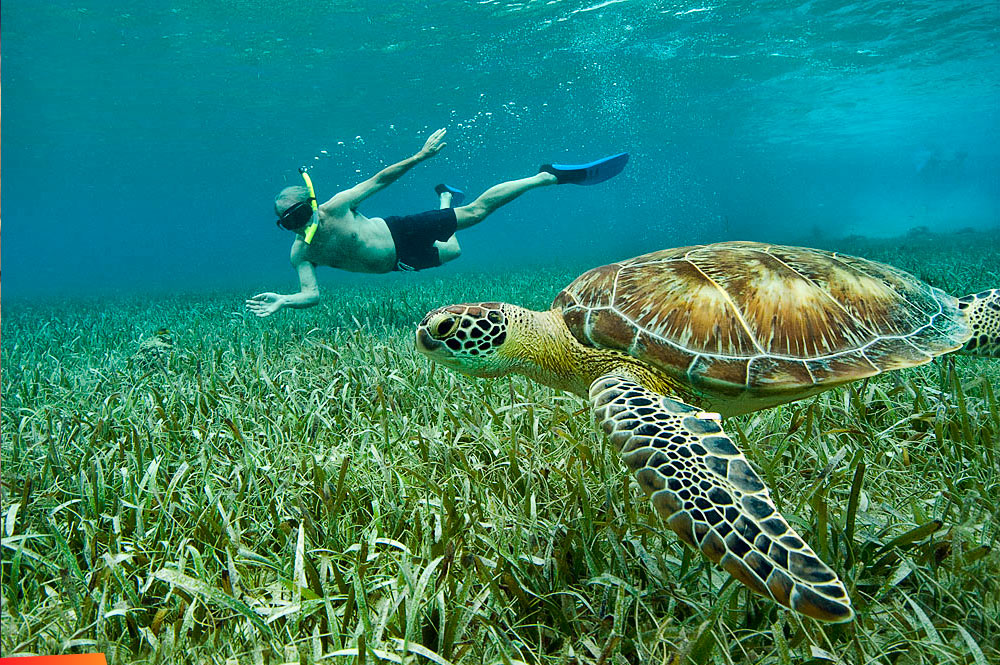Head to Belize this Summer