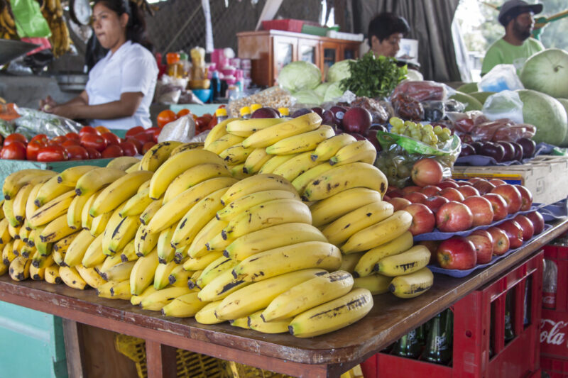 things to do in San Ignacio Belize