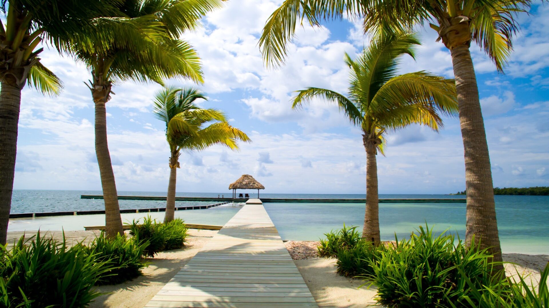 Unforgettable Tropical Escape