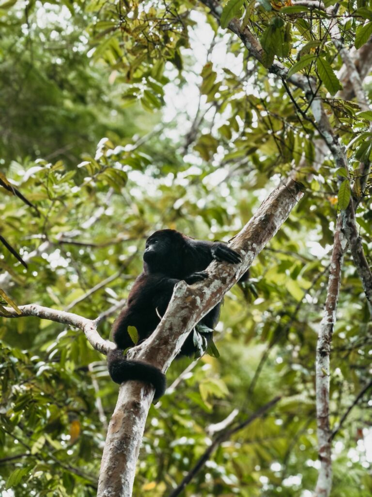 Belize holiday travel