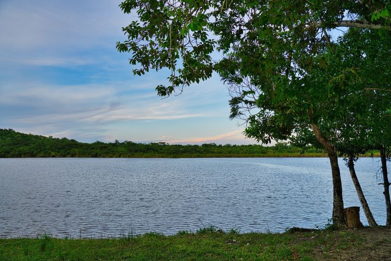  birding tours Belize