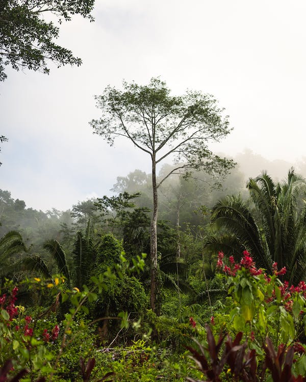 belize in may