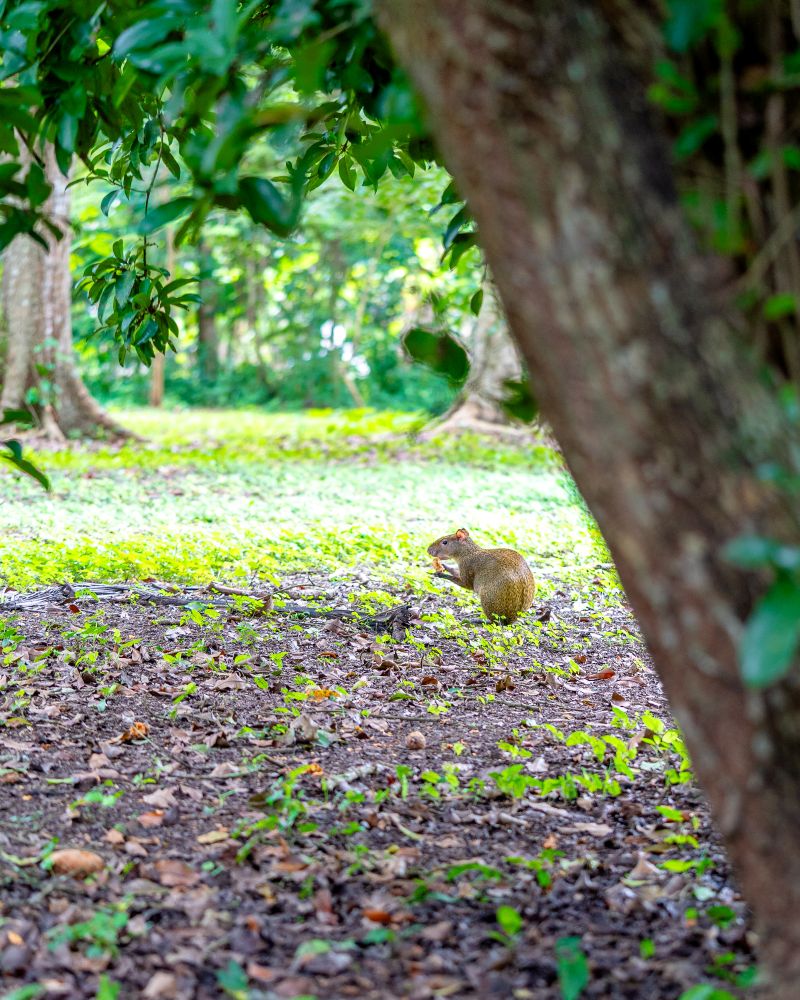  Belize in April travel